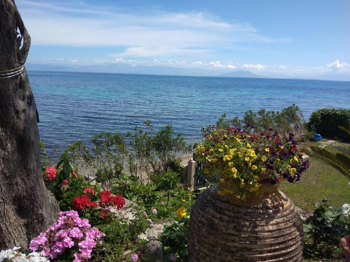Studio Nausica... A Sense Of Paradise! Agia Pelagia Chlomou Exterior photo