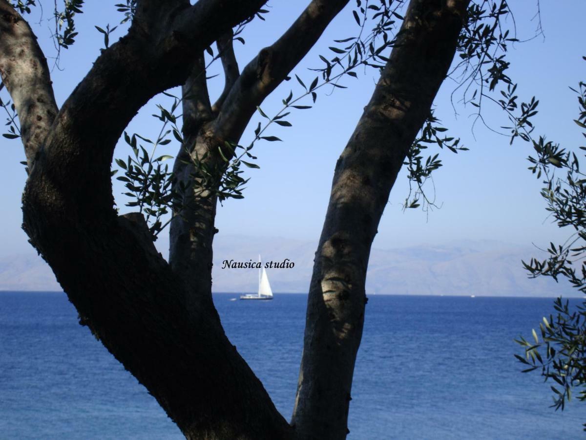Studio Nausica... A Sense Of Paradise! Agia Pelagia Chlomou Exterior photo