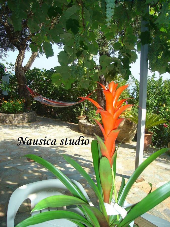 Studio Nausica... A Sense Of Paradise! Agia Pelagia Chlomou Exterior photo